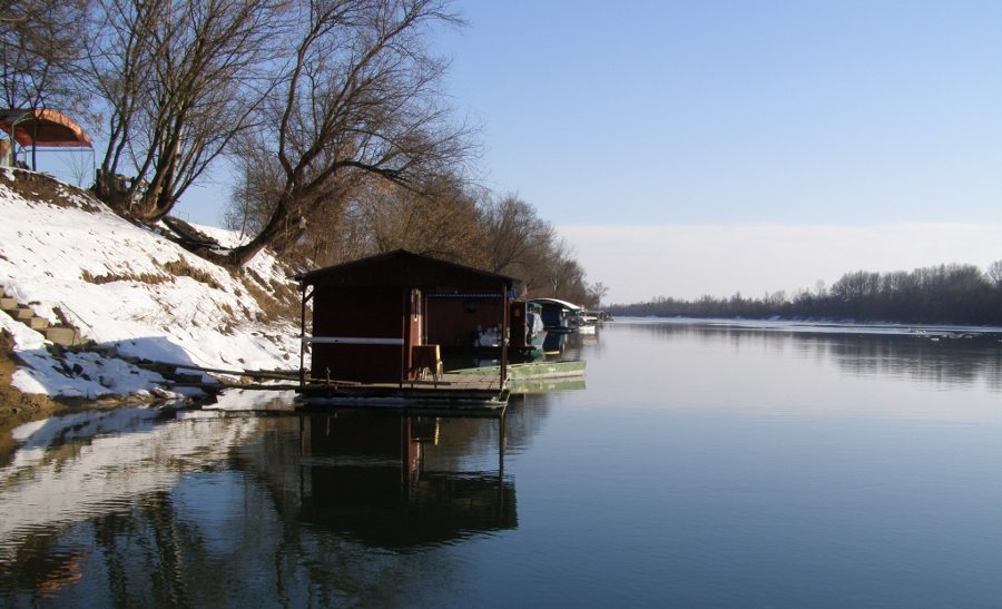 Zale�ena Sava 2012